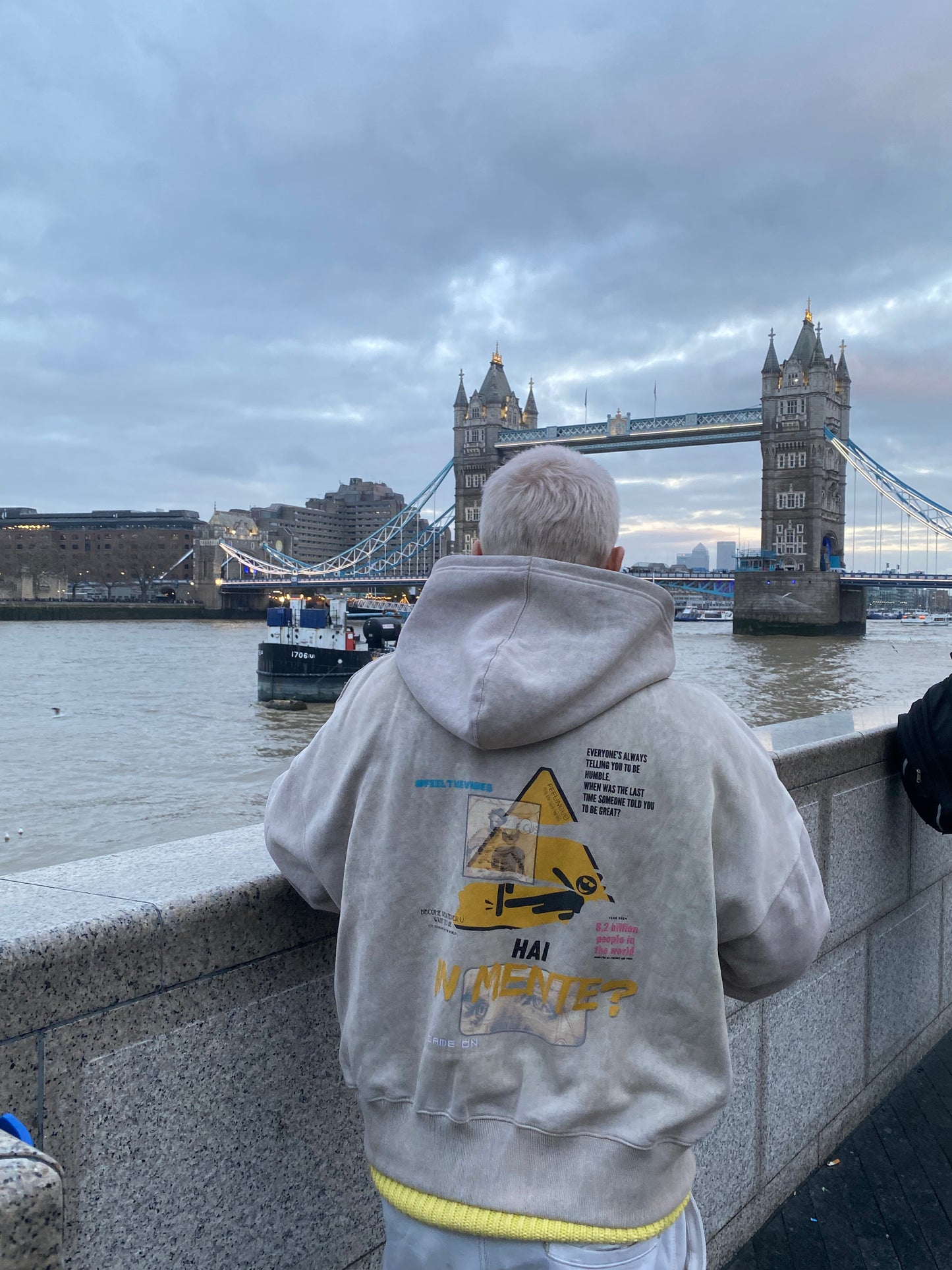 Hai in mente? - Hoodie PREMIUM