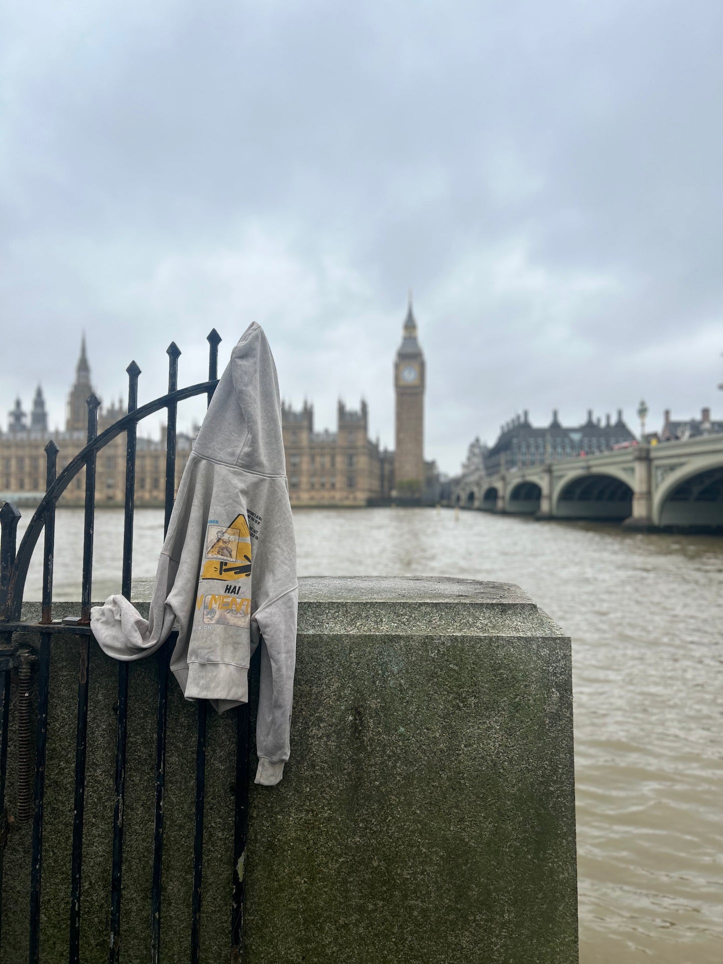 Hai in mente? - Hoodie PREMIUM