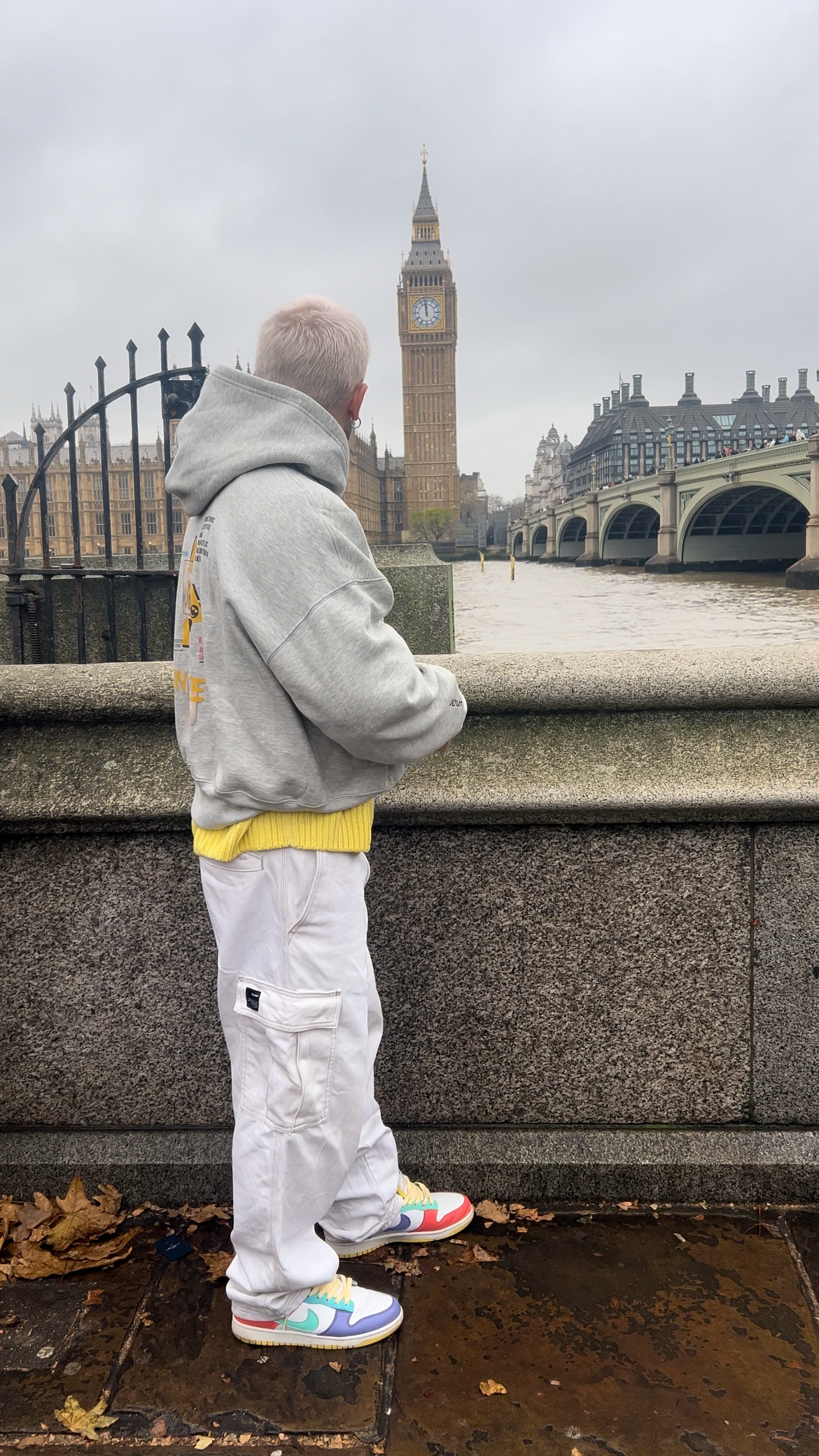 Hai in mente? - Hoodie BASIC
