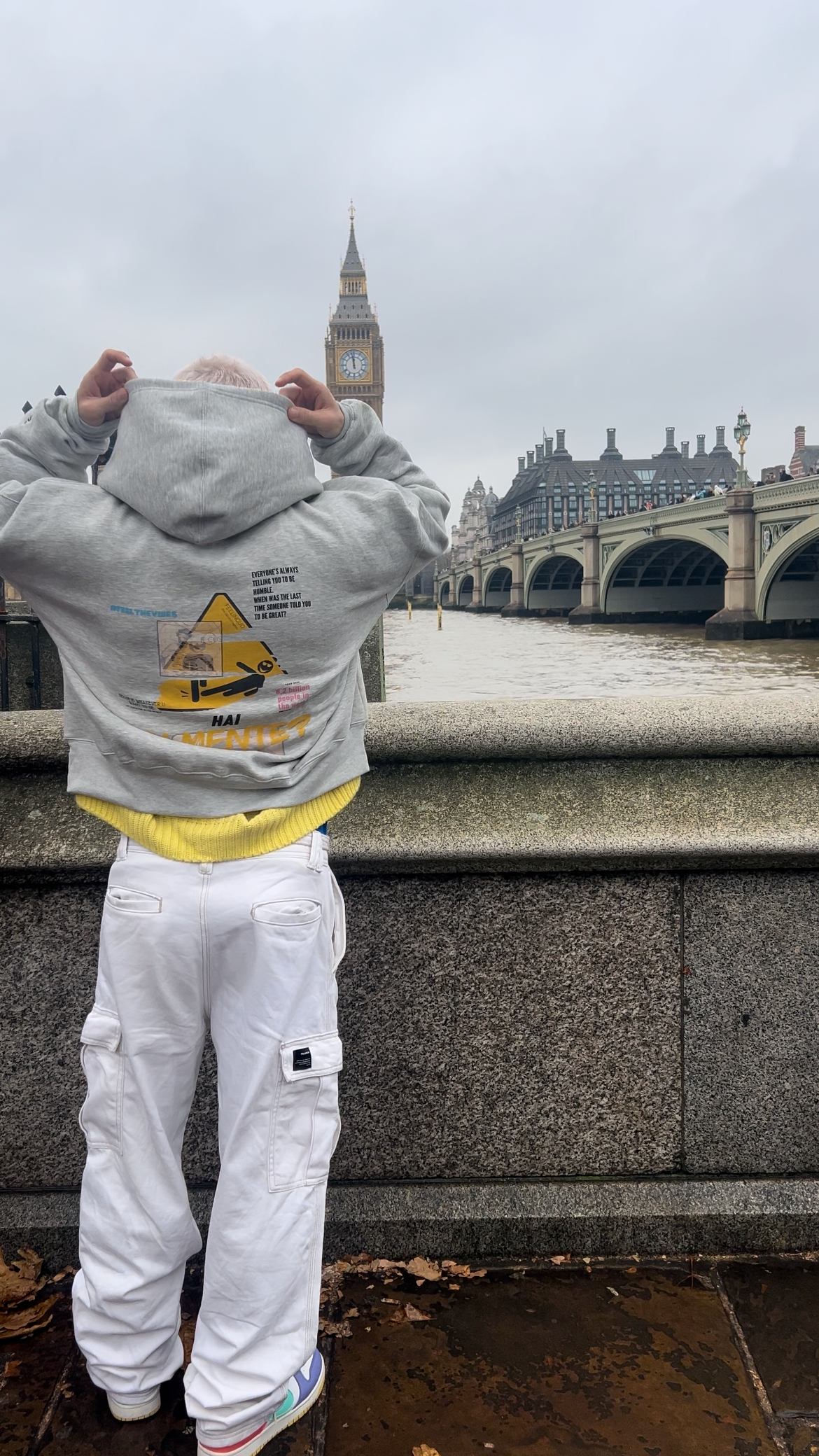 Hai in mente? - Hoodie BASIC
