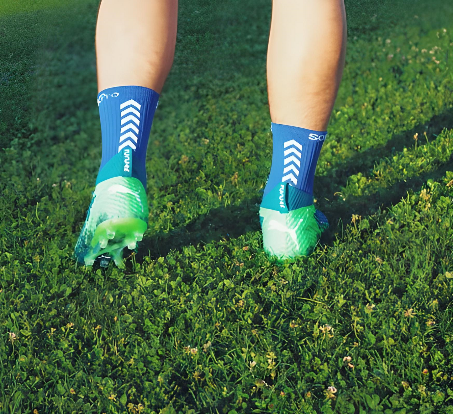 SOXpro Blue Royal