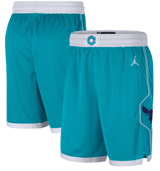 Charlotte Hornets Jordan Icon Swingman Shorts